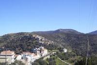 Cosentini